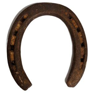 Authentic Rusty Horseshoe Good Luck Charm Rustic Farmhouse Decor Western Retro